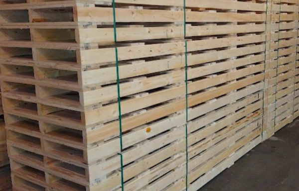 Custom Pallet